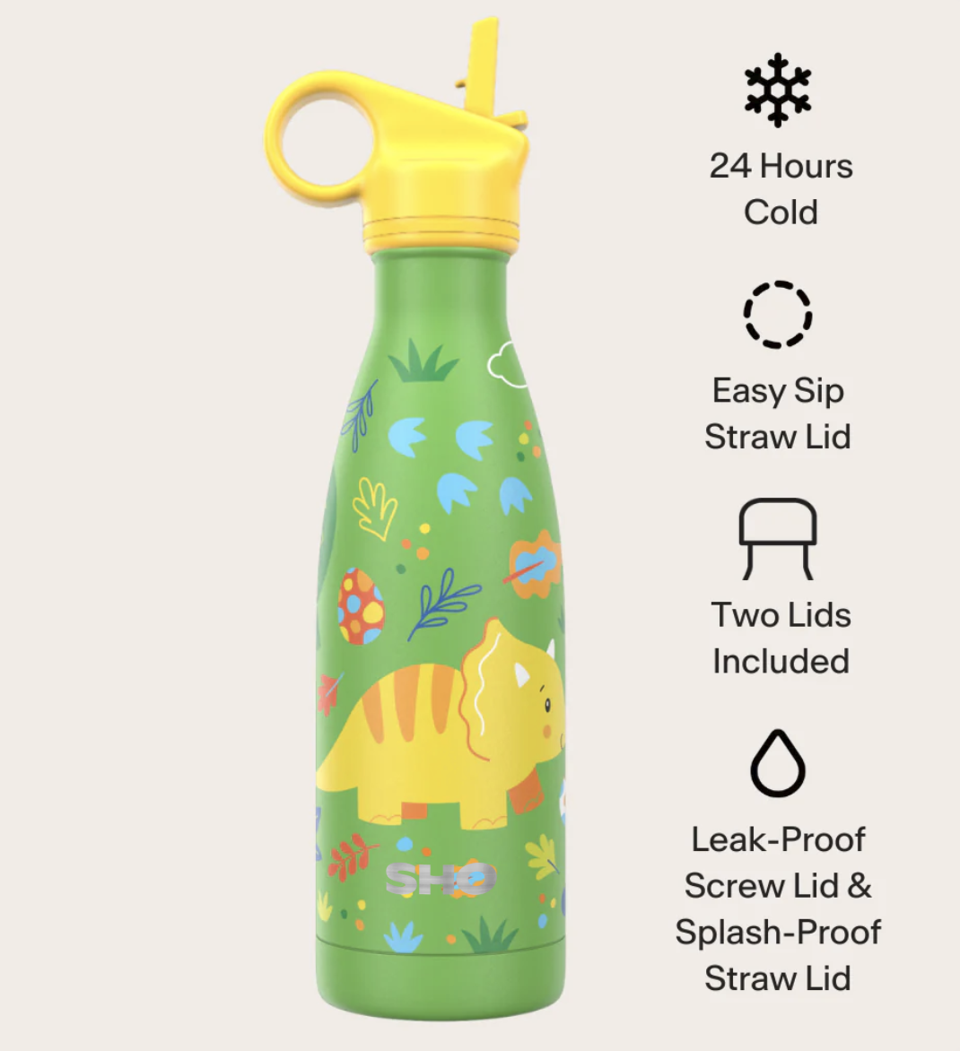 Sticlă termos din oțel inoxidabil, 375ml – Dinosaur